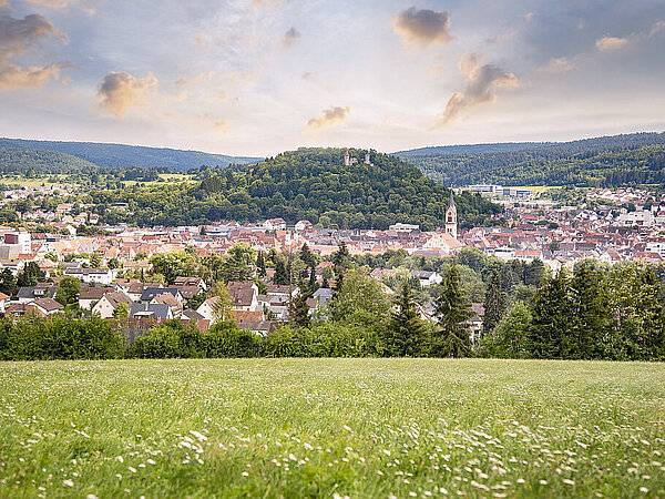 Panorama der Stadt Panorama der Stadt