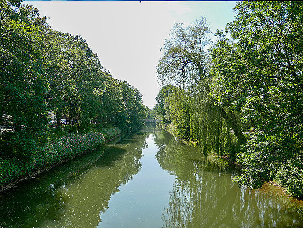 Donau Die Donau mit Bäumen am Ufer